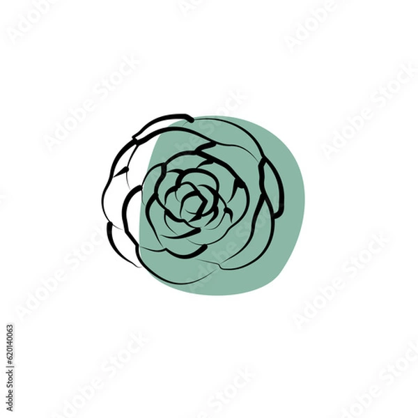 Fototapeta hand drawn flower