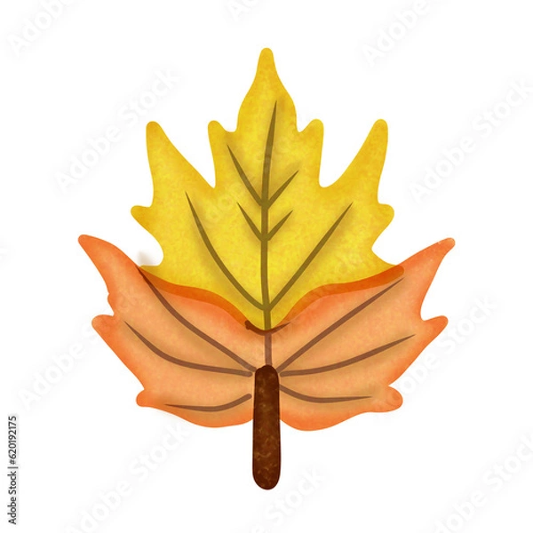 Obraz hand holding autumn leaf