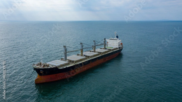 Fototapeta Self-unloading bulk carrier at Rio De La Plata anchorage. Aerial front view.