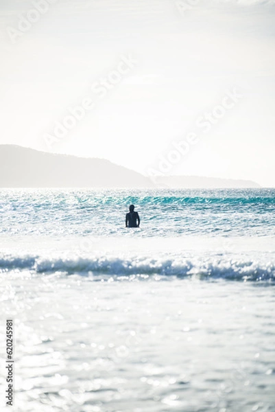 Obraz surfing the waves