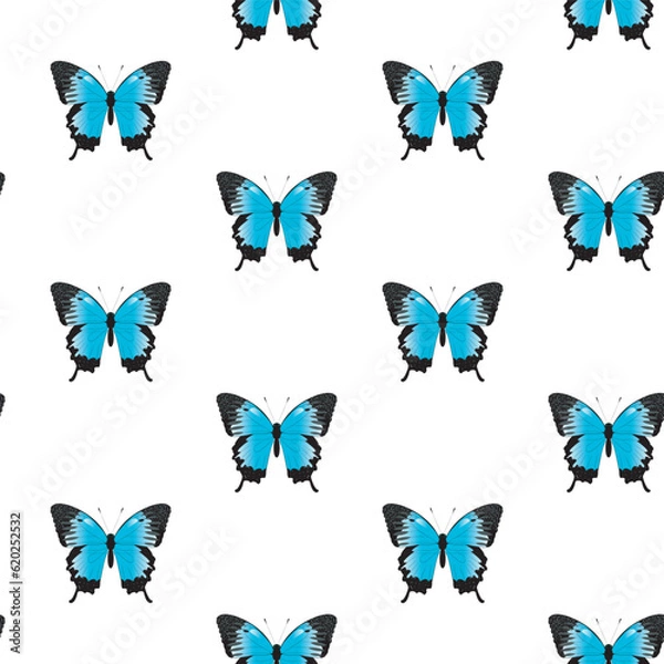 Fototapeta Vector seamless pattern of butterflies. Vector butterfly papilio ulysses. Buttrerfly and insept on white background. Blue butterfly.