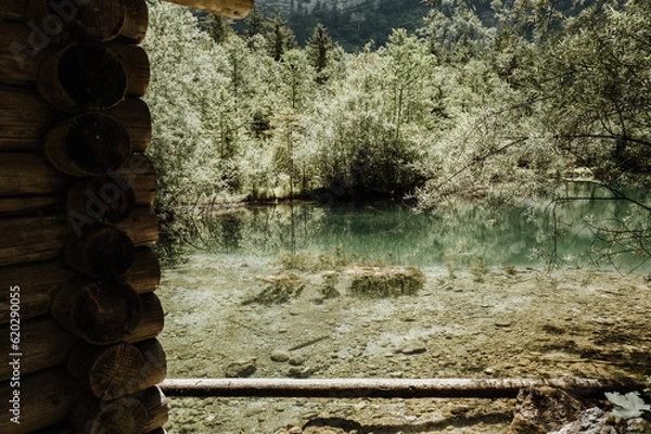 Obraz lake in the mountains