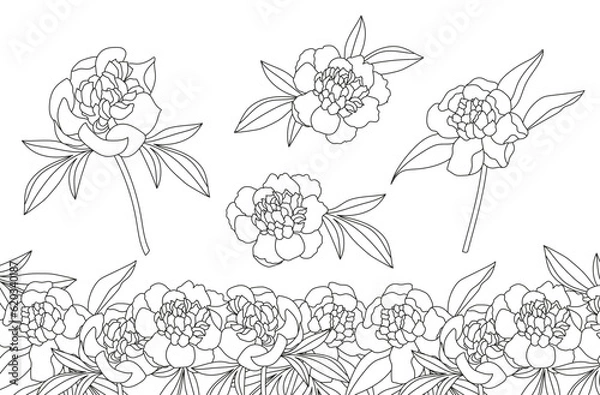Fototapeta set with peonies. Vector illustration