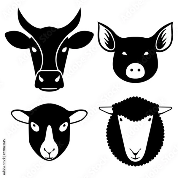 Obraz heads of farm animals cow, pig, lamb, sheep