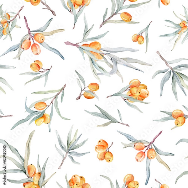 Fototapeta Pattern with orange sea buckthorn. Sea buckthorn for healthy life and design background. Hand painted. Botanical natural. Seamless pattern, an illustration for postcards, posters, textile design.