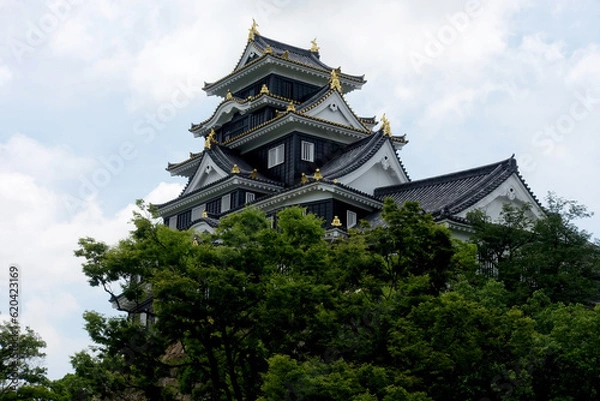 Fototapeta 岡山城、鴉城、日本の城