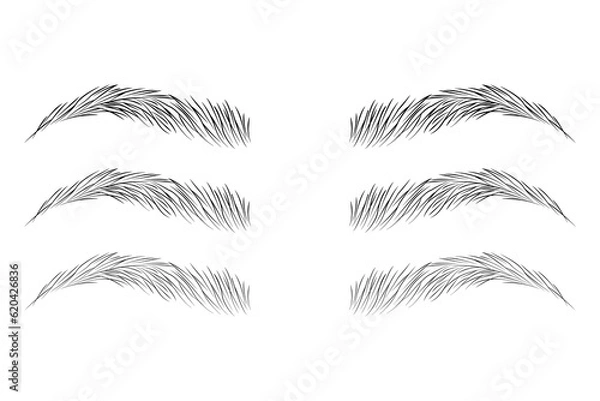 Obraz Eyebrow shape set, Brown eyebrow bag, Brown eyebrows isolated on white background, Brown eyebrow vector, Fashion eyebrows of various shapes and types, eyelash