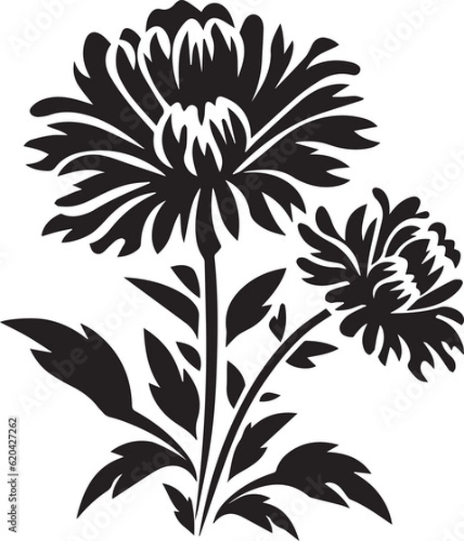 Fototapeta Aster Black And White, Vector Template  for Cutting and Printing