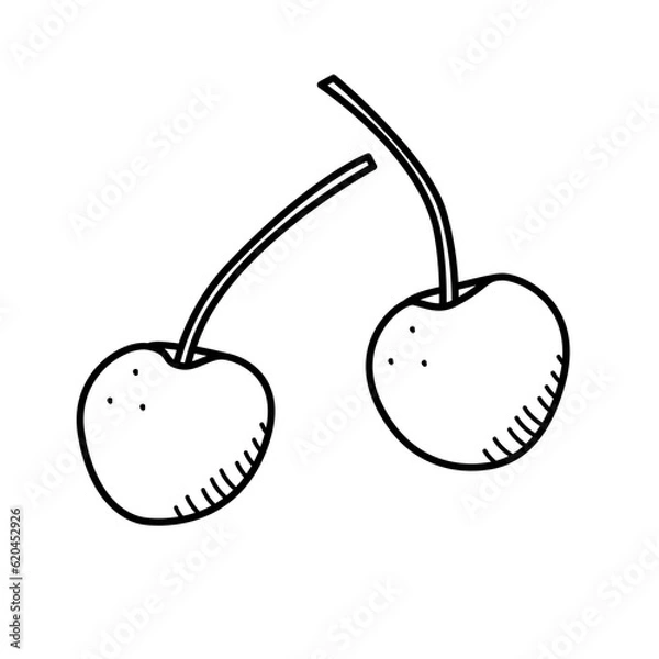 Obraz Summer sweet berry cherry doodle icons. Vector illustration single sketch isolate on white.