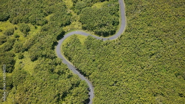 Obraz route serpentant dans la forêt