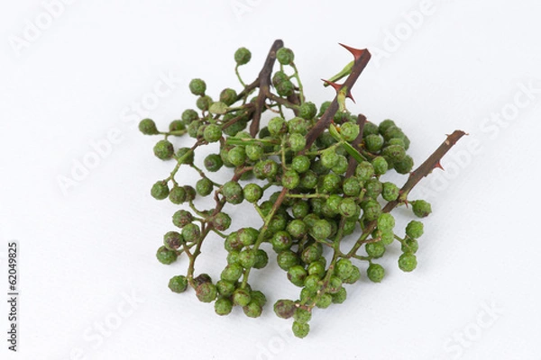 Obraz fresh Prickly Ash Peel with white background