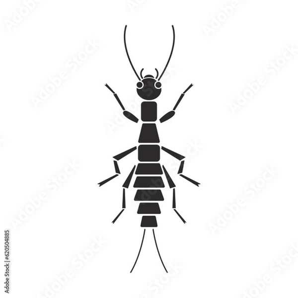Obraz Insect order grylloblatodea icebug geometric icon vector illustration