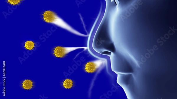 Obraz 花粉ブロック