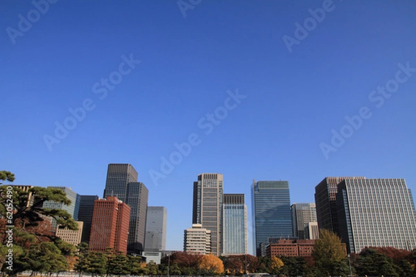 Fototapeta 皇居外苑と丸の内の高層ビル
