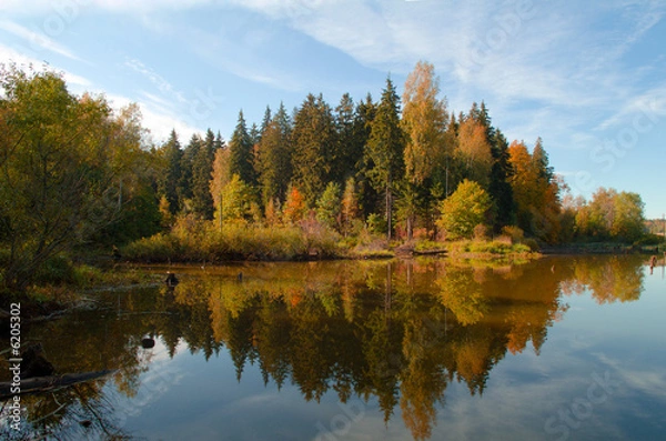 Fototapeta Landscape. A wood-reflection in lake
