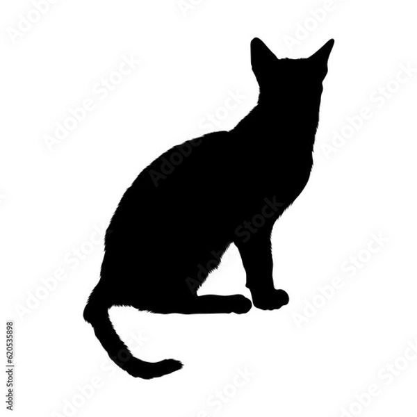 Fototapeta Sitting Siamese Silhouette Good To Use For Element Print Book, Animal Book and Animal Content