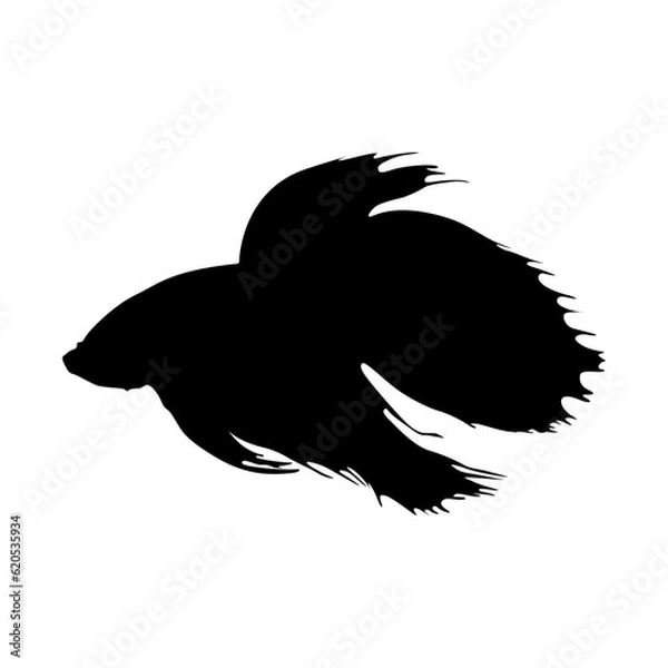 Fototapeta Swimming Siamese Fighting Silhouette Good To Use For Element Print Book, Animal Book and Animal Content