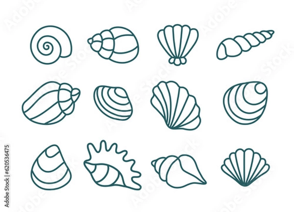 Fototapeta Set of various shells. Vector linear illustration.