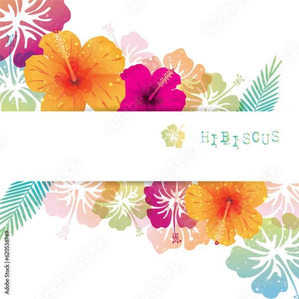 Obraz ハイビスカスの背景