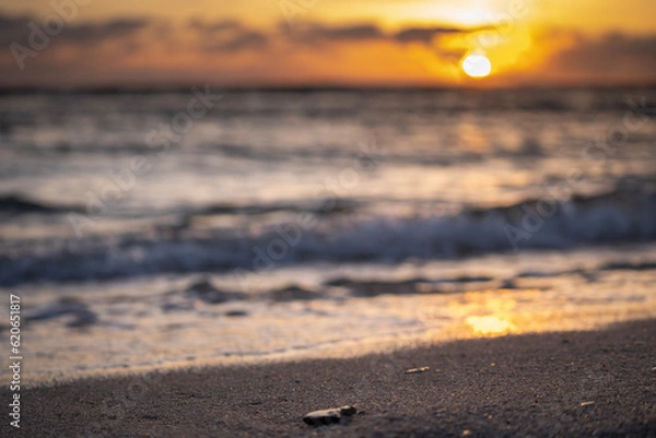 Obraz sunset at the beach