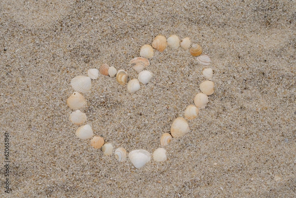 Obraz heart made of shells