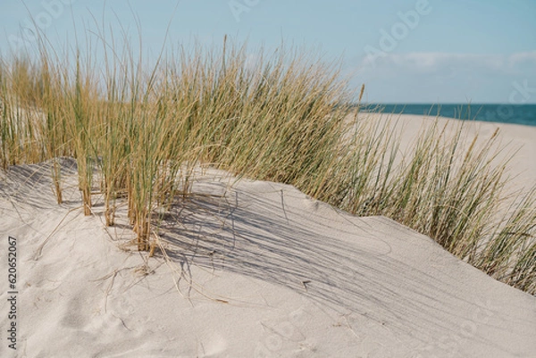 Obraz sand dunes on the beach