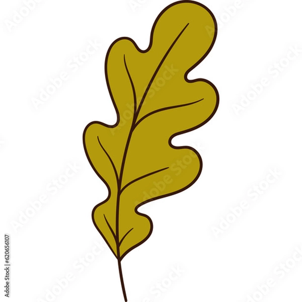 Fototapeta oak leaf autumn color