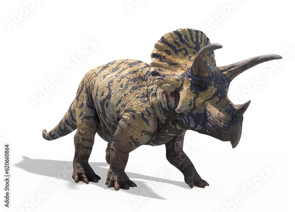 Obraz Triceratops Dinosaur