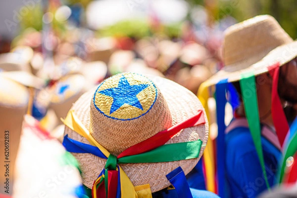 Fototapeta Arraial do Pavulagem is a musical group that develops an artistic and cultural movement that occupies the streets of Belém do Pará with its popular and colorful processions in June and October