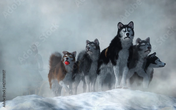 Fototapeta A team of huskie sled dog in the snow. One of them, a brown Greenland dog, is ready to play with a red ball. Behind them, the driver is mostly obscured by the mists of of the Yukon. 3D Rendering
