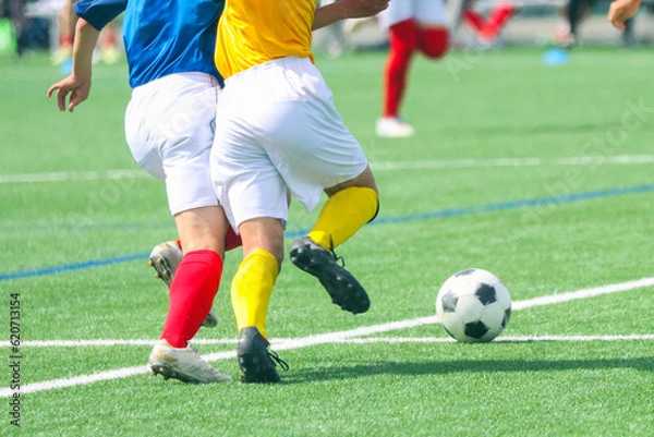 Fototapeta サッカー　フットボール