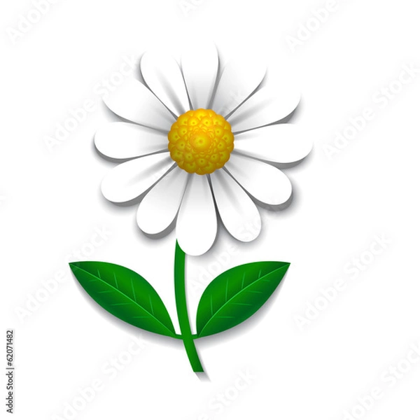 Obraz Vector daisy, design element