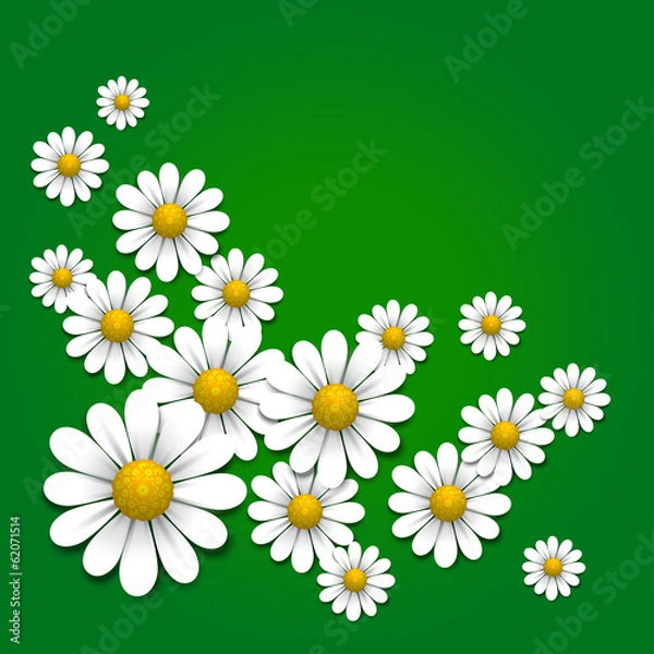 Obraz Floral background