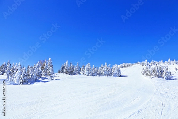 Obraz 横手山スキー場