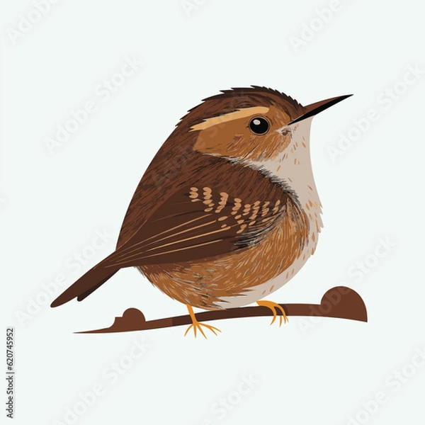 Obraz vector cute wren cartoon style