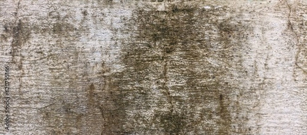 Fototapeta Grunge Texture Background 