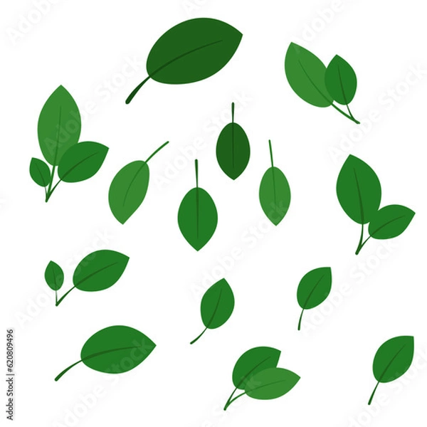 Obraz Green isolated leaves with bright green new sprouted leaves. Simple illustration on a white background. Creative element for nature themed brochures, games or other uses. Spring or summer enviromental