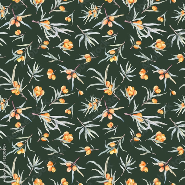 Fototapeta Pattern with orange sea buckthorn. Sea buckthorn for healthy life and design background. Hand painted. Botanical natural. Seamless pattern, an illustration for postcards, posters, textile design.