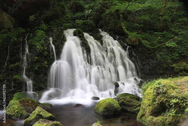 Fototapeta 元滝伏流水