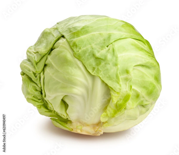 Fototapeta white cabbage path isolated on white