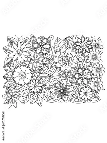 Obraz Outline vector drawing of flowers for adult coloring books. Page of floral pattern in black and white