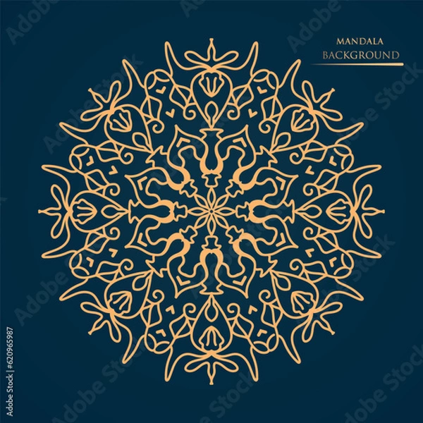 Obraz Luxury mandala design background premium vector