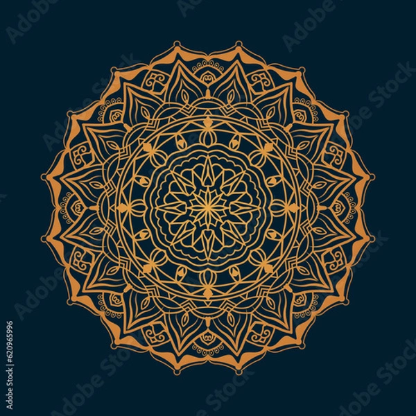 Obraz Luxury mandala design background premium vector