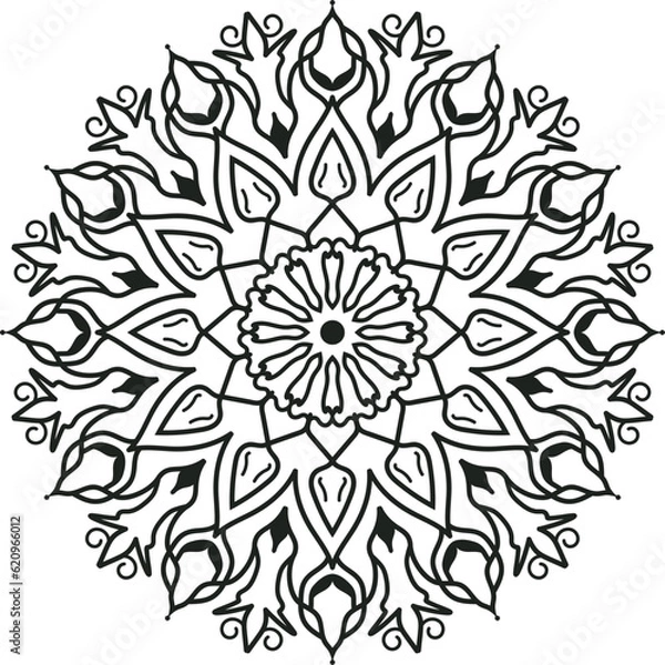 Obraz Luxury mandala design background premium vector