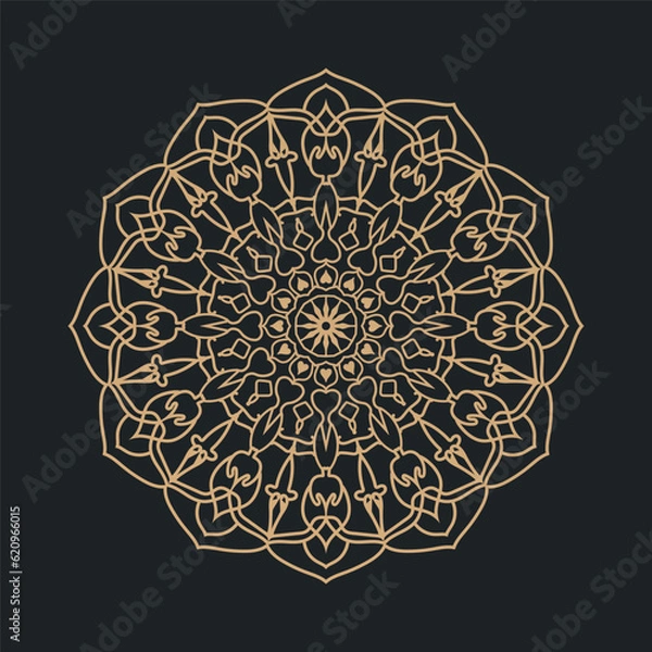 Obraz Luxury mandala design background premium vector