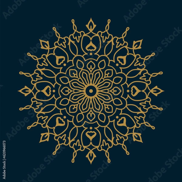 Obraz Luxury mandala design background premium vector