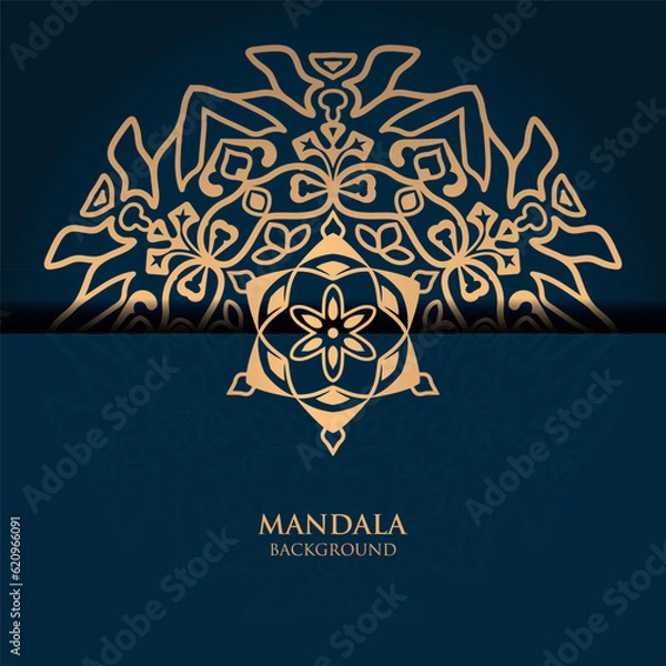 Obraz Luxury mandala design background premium vector