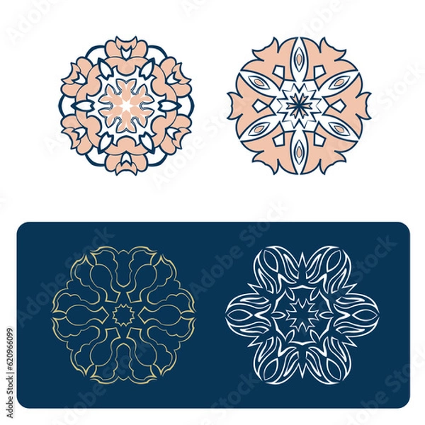 Obraz Luxury mandala design background premium vector