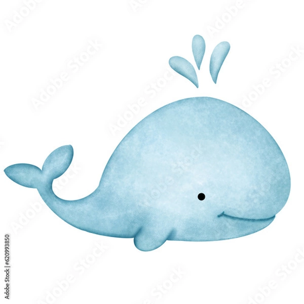 Obraz Blue whale 
