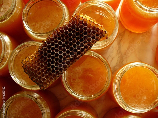 Fototapeta honey background